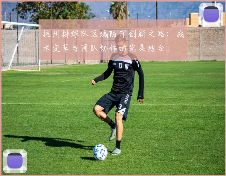 杭州排球队区域防守创新之路：战术变革与团队协作的完美结合