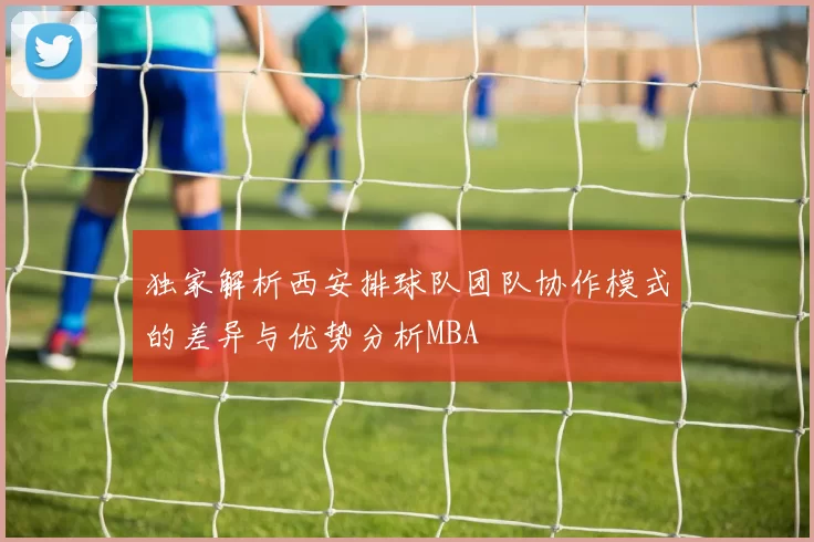 独家解析西安排球队团队协作模式的差异与优势分析MBA