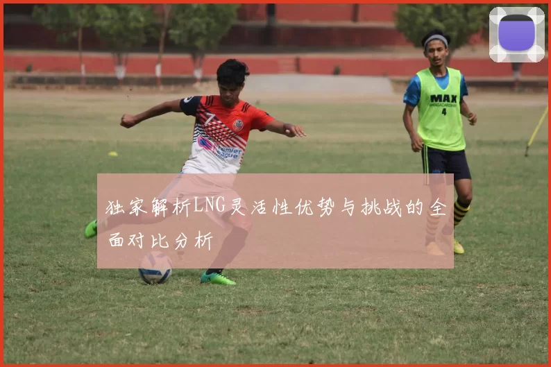 独家解析LNG灵活性优势与挑战的全面对比分析