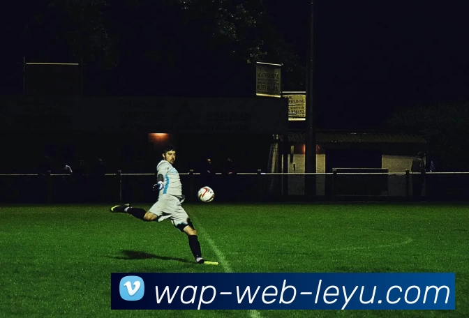 leyu平台平台生态图