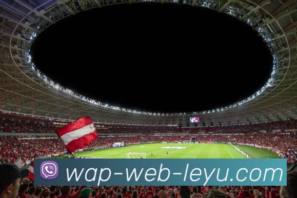 leyu平台发展历程