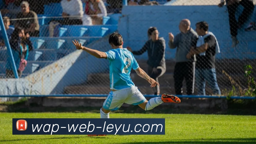 leyu平台APP 封面图